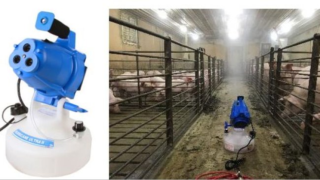 Figura 2. Exposição a aerossol de Mycoplasma hyopneumoniae por leitoas de reposição.