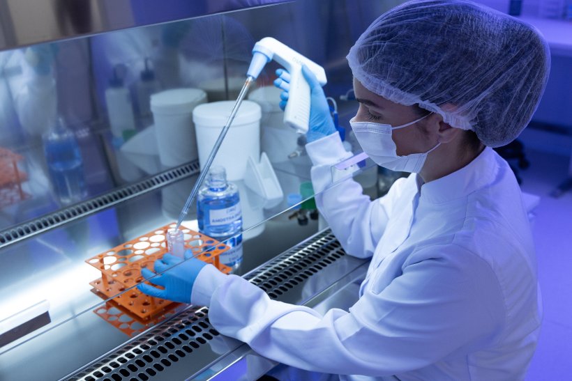 Foto: Divulga&ccedil;&atilde;o JBS