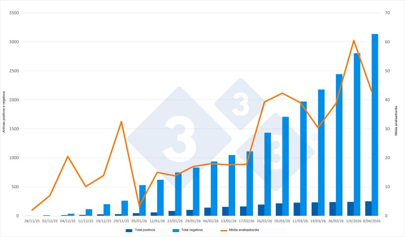 Evolução do surto de PSA na Catalunha, dados acumulados, exceto para a média de animais analisados por dia. Fonte: 333 com base nas atualizações emitidas pelo MAPA.