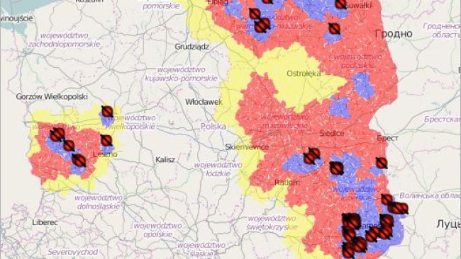 PPA Polonia - brotes cerdo doméstico- 2020