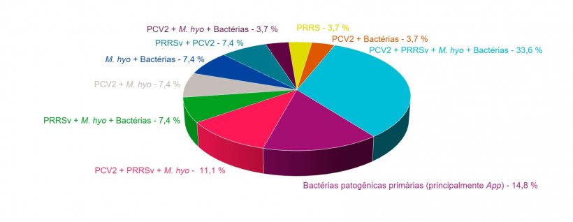 Figura 1: Combina&ccedil;&otilde;es de pat&oacute;genos encontradas em casos de campo, diagnosticados com PCR, nos &uacute;ltimos 4 anos no Servi&ccedil;o de Anatomia Patol&oacute;gica da Faculdade de Veterin&aacute;ria da Universidade de Murcia.
