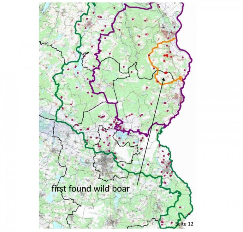 O mapa a seguir mostra os limites das zonas n&uacute;cleo (amarelo), infectada (roxo) e tamp&atilde;o (verde), bem como a localiza&ccedil;&atilde;o dos casos em javalis encontrados (asterisco) e das granjas de su&iacute;nos (pontos vermelhos). Fonte: MAPA.
