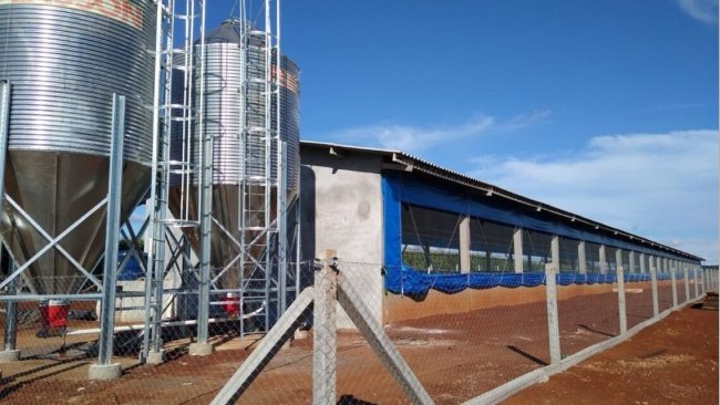 Granja totalmente cercada com acesso liberado a colaboradores.