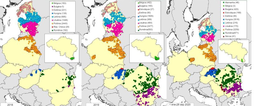 Mapa de casos em javalis declarados em 2018, 2019 e 2020 (até 28 de setembro de 2020) (Fonte: MAPA a partir de dados de RASVE-ADNS)