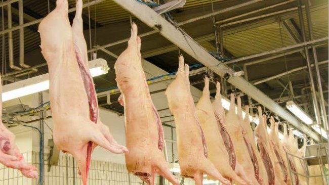 Avaliação de Carcaças está com inscrições abertas