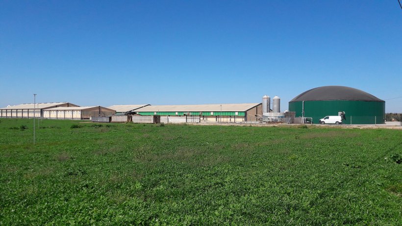 Figura 2: Granja de su&iacute;nos na comarca de Segri&aacute; (L&eacute;rida, Espanha), com produ&ccedil;&atilde;o de biog&aacute;s para autoconsumo de energia t&eacute;rmica e el&eacute;ctrica.
