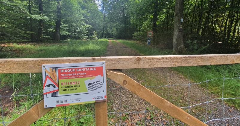 PSA na B&eacute;lgica
