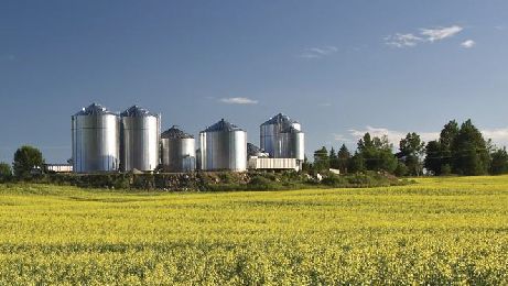 Imagem 1. F&aacute;brica de ra&ccedil;&atilde;o nos EUA. Fonte:&nbsp;ANACAN.
