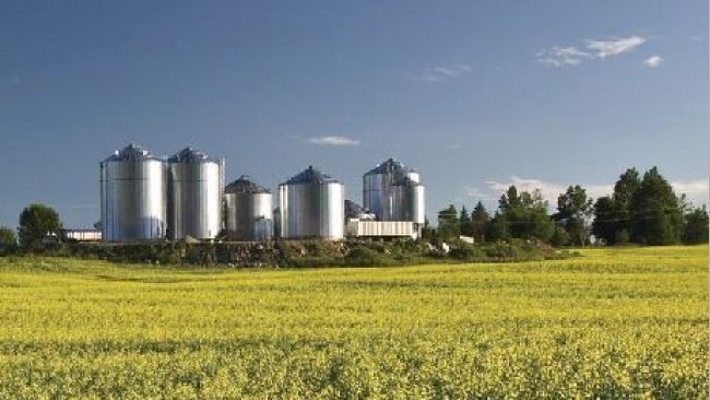 Imagem 1. Fábrica de ração nos EUA. Fonte: ANACAN.