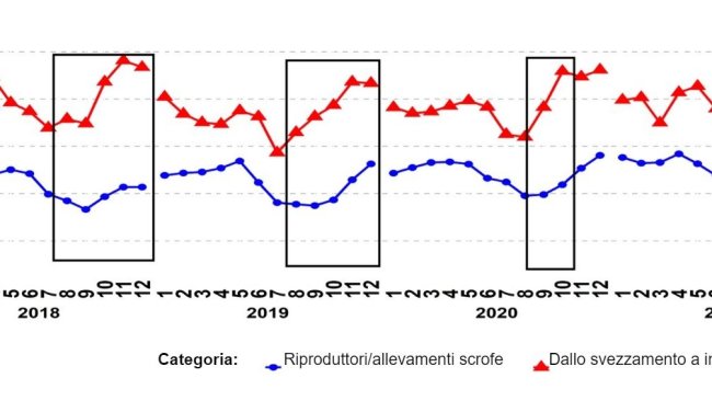 Grafico 1. Percentuale di campioni PCR positivi per le categorie di riproduttori e suini dallo svezzamento alla vendita. I riquadri neri mostrano i picchi più ripidi e/o precoci nei dati dallo svezzamento alla vendita rispetto a quelli dei riproduttori/scrofe. Fonte: ISU-VDL: Iowa State University Veterinary and Diagnostic Laboratory; UMN-VDL: University of Minnesota Veterinary and Diagnostic Laboratory; SDSU-ADRDL; South Dakota State University Animal Disease Research and Diagnostic Laboratory; KSU-VDL: Kansas State University Veterinary and Diagnostic Laboratory; OH-ADDL: Ohio Animal Disease and Diagnostic Laboratory.