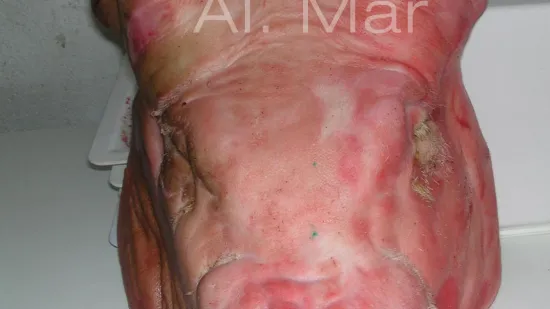 Semana de 04-Nov-2025