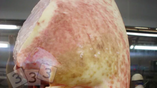 Semana de 11-Nov-2025