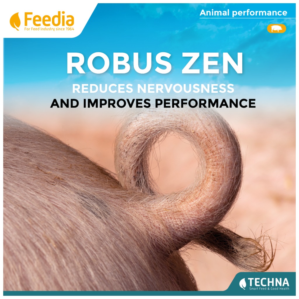 ROBUS ZEN