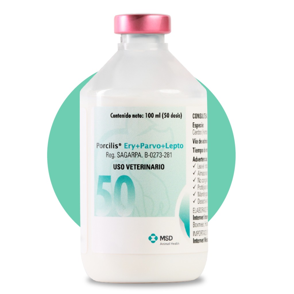 Vacuna: Porcilis® Ery+Parvo+Lepto