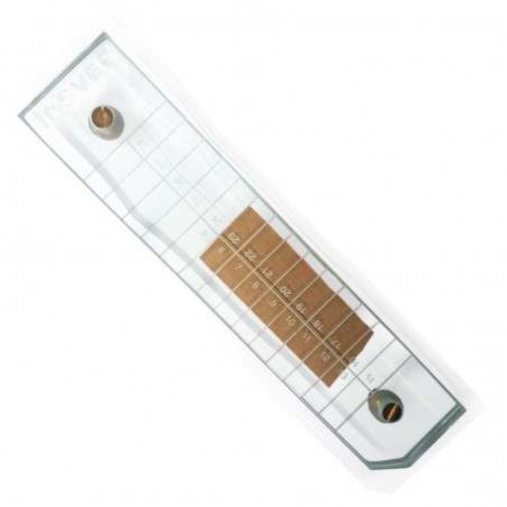 Piastra del trichinoscopio