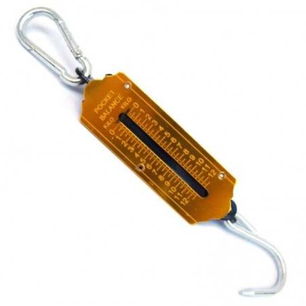 Dynamometr rurowy - 10 kg