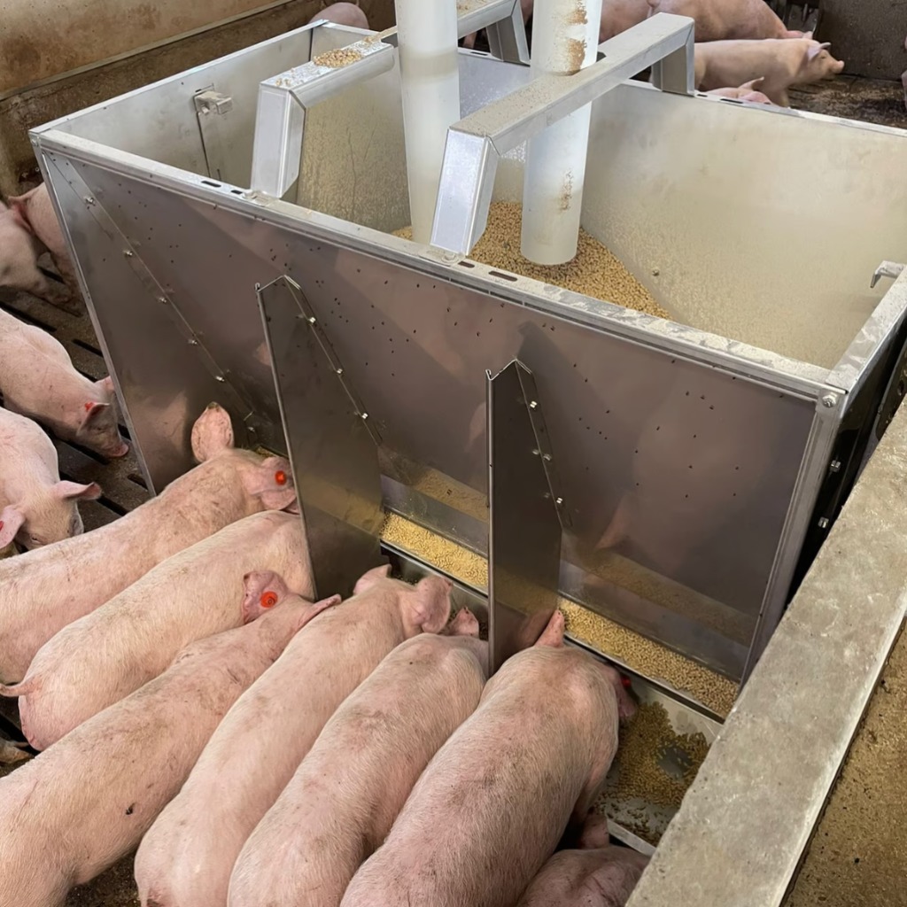 Exafan Poseidon stainless steel hopper