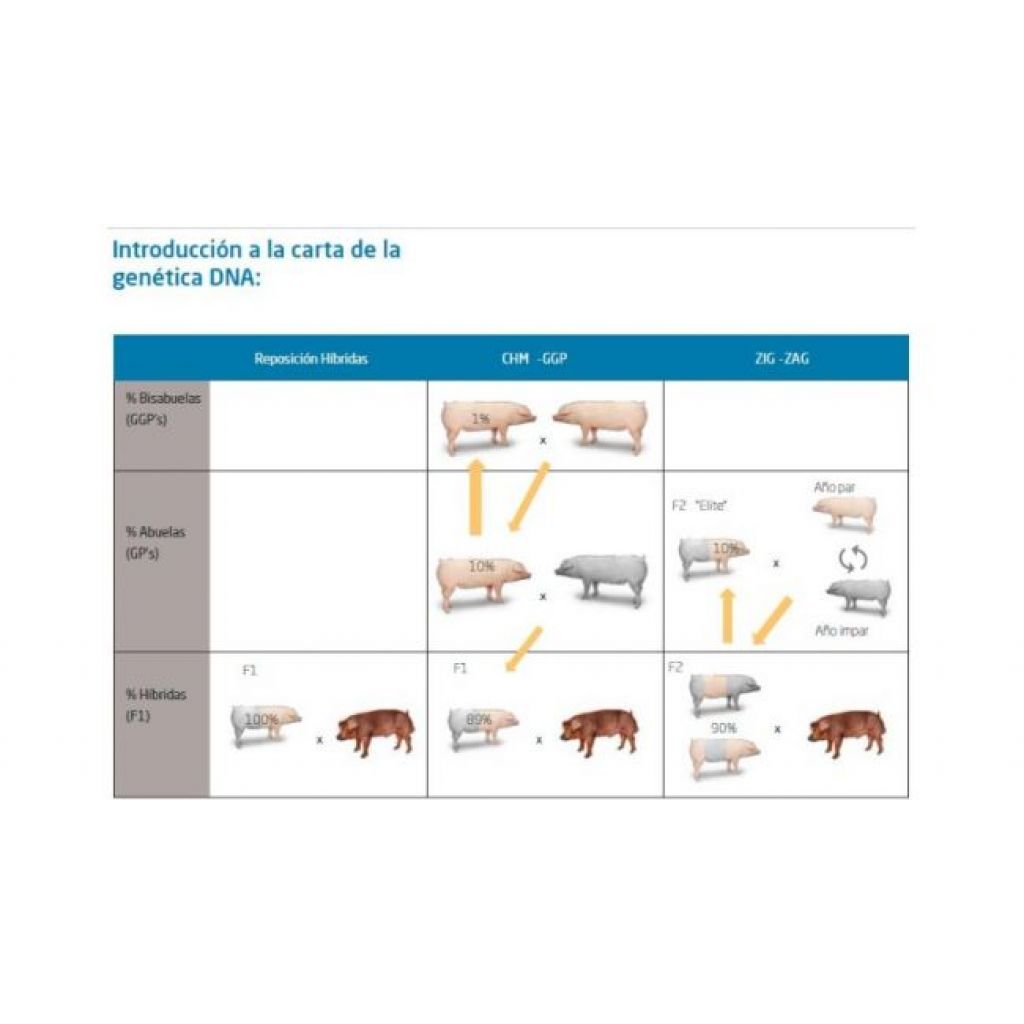 Sistemas de Reposición