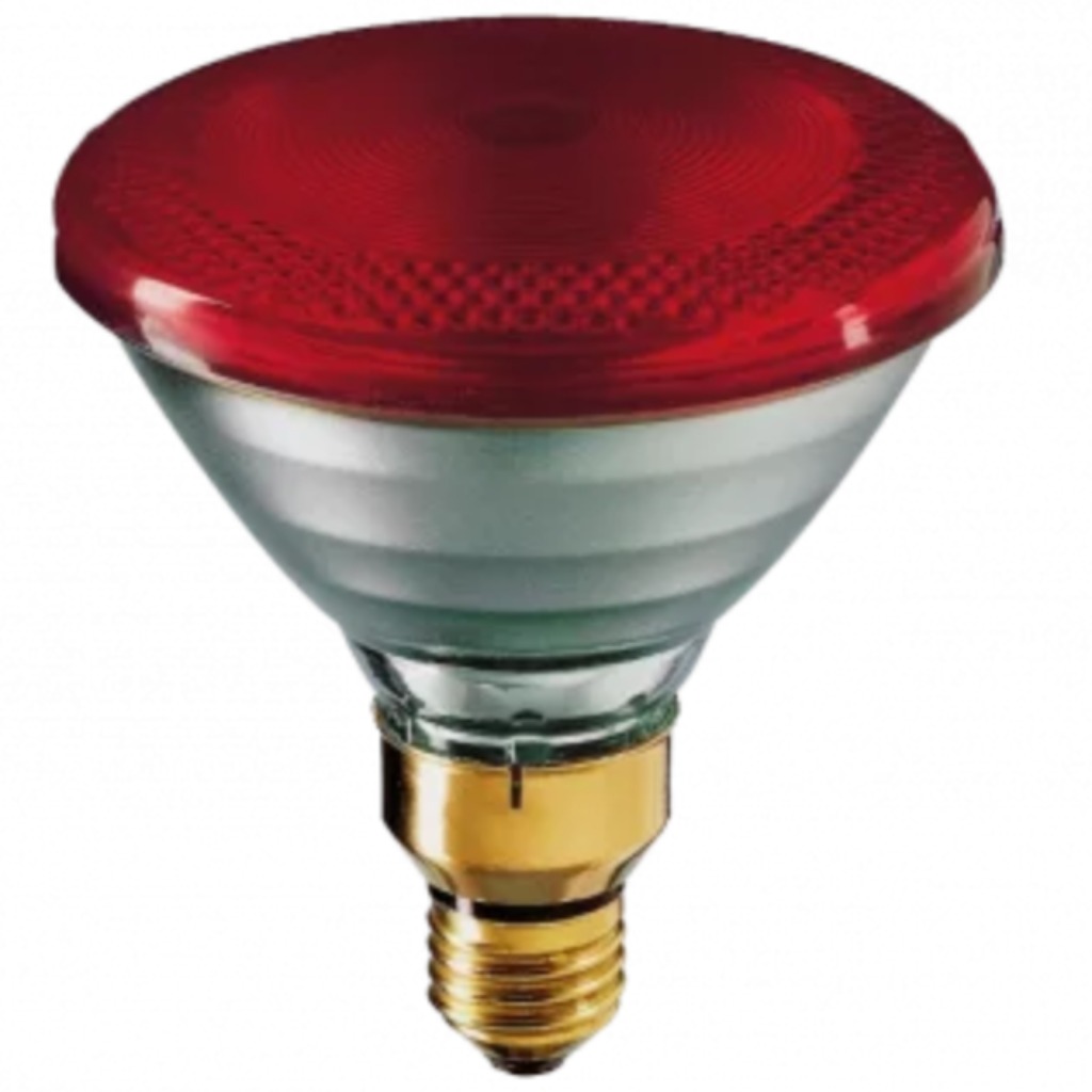 Philips PAR 100 Watt Lampadina a infrarossi Bianco-Rosso 12 pz.