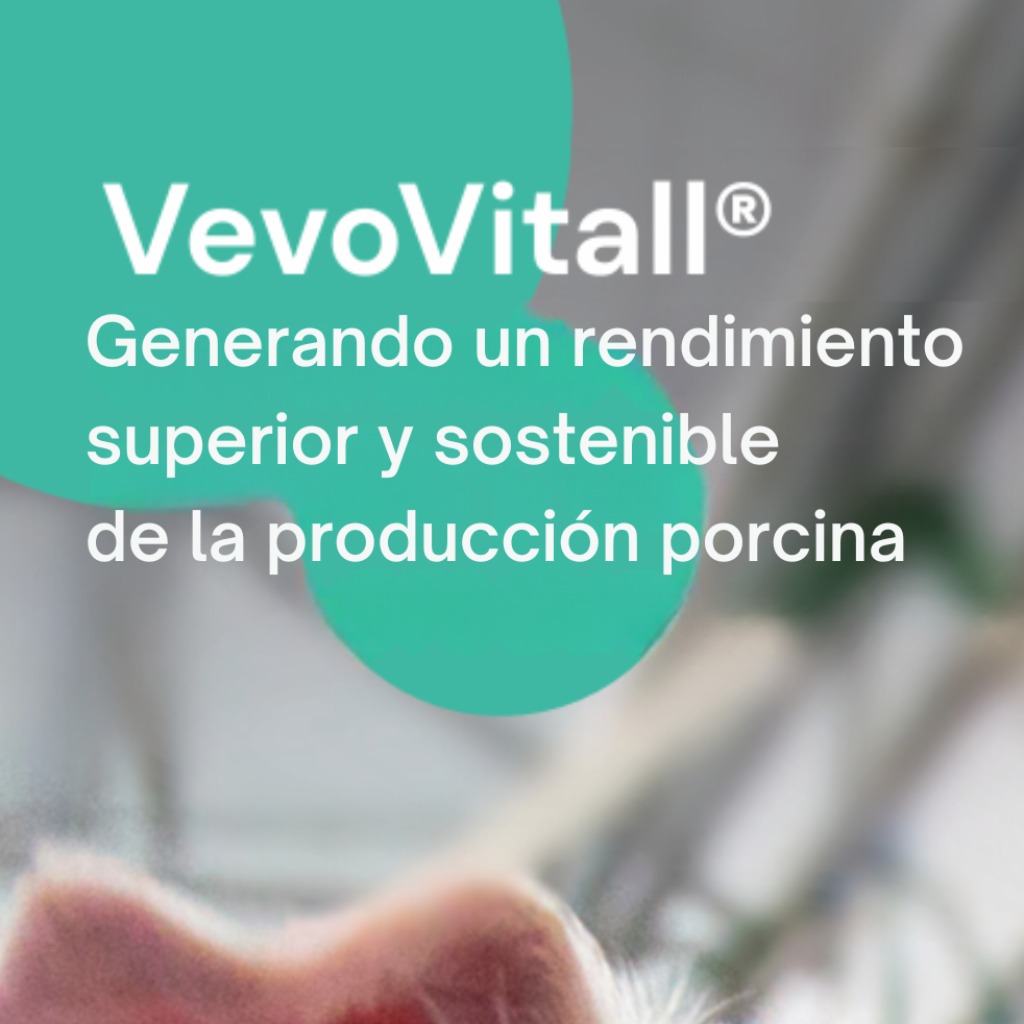 Aditivo conservante: VevoVitall®