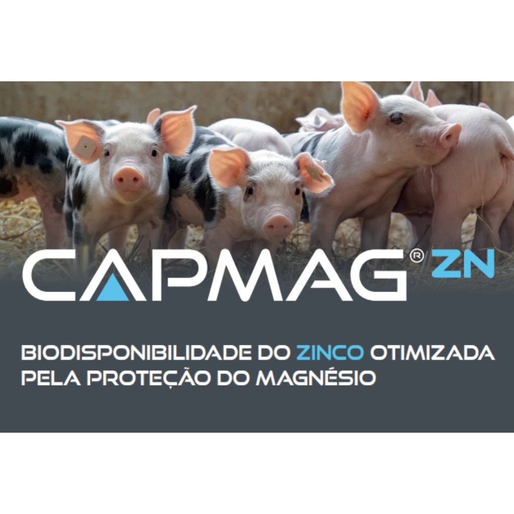 CAMPMAG Zn