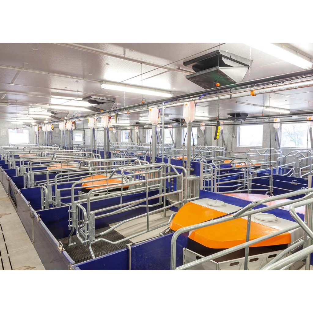 Jaula de maternidad, nido de lechones con área de descanso