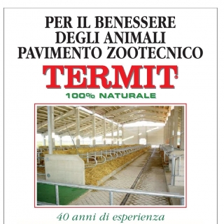 ambrosio  edilizia sas