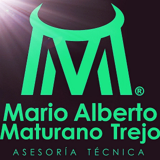 Mario Alberto Maturano Trejo