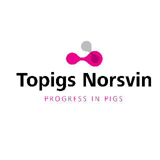 Topigs Norsvin