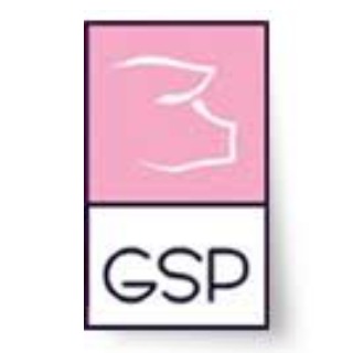 GSP Lleida