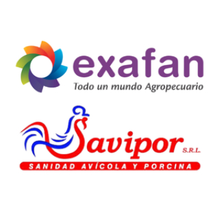 Savipor SRL