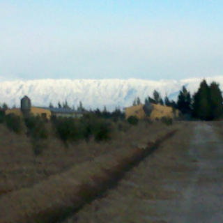 Mariano Jose Guida Monzon