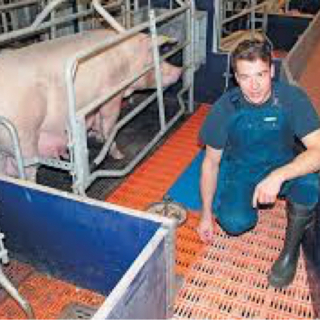 Steffen Martens
